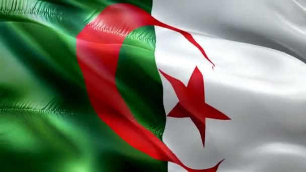 Algeria Flag Motion Loop Video Waving Wind Realistic Algerian Flag — Vídeos de Stock