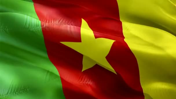 Kameroen Zwaaiend Met Vlag Nationale Cameroun Vlag Zwaaiend Teken Van — Stockvideo