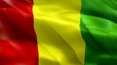 Papua Yeni Gine bayrağı sallıyor. Ulusal 3d Papua bayrağı dalgalanması. Papua Yeni Gine adasının kusursuz döngü animasyonunun işareti. Papua bayrağı yüksek çözünürlüklü arka plan. Papua Yeni Gine bayrağı sunum için 1080p Tam HD video