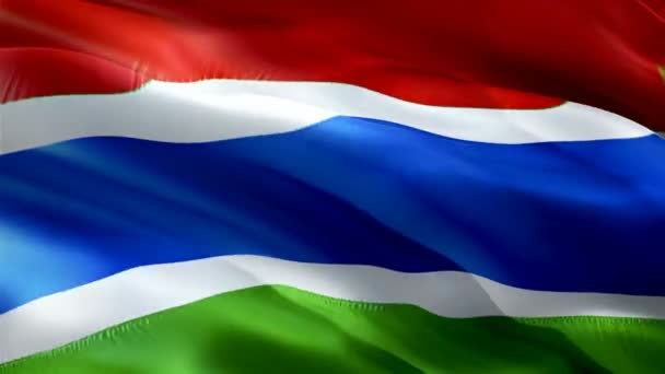 Flaga Gambii Narodowa Flaga Gambian Macha Znak Bezproblemowej Animacji Pętli — Wideo stockowe
