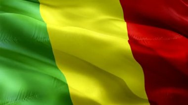 Somali bayrağı rüzgarda sallanan hareket döngüsü videosu. Gerçekçi Somali Bayrağı geçmişi. Somali Bayrak Döngüsü Kapanışı 1080p Tam HD 1920X1080 görüntüsü. Somali Afrika ülkesi film ve haber videolarını bayraklandırdı