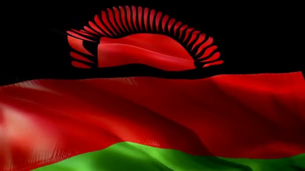 Malawi Bayrağı Rüzgarda Sallanan Hareket Döngüsü Videosu Gerçekçi Malavi Bayrağı — Stok video