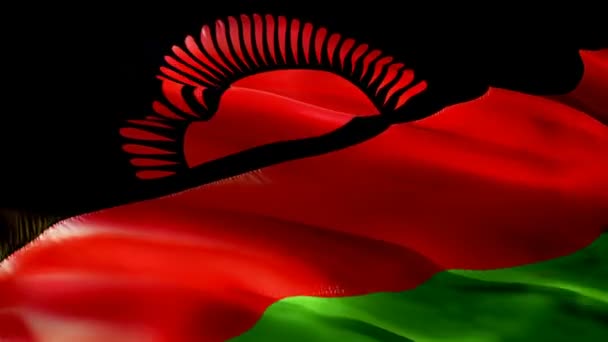 Malawi Ondeando Bandera Bandera Nacional Malawi Ondeando Signo Animación Bucle — Vídeos de Stock