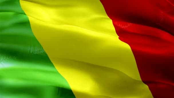 Mali Flag Motion Loop Video Waving Wind Realistic Malian Flag — Stockvideo