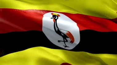 Uganda bayrağı sallıyor. Ulusal 3d Ugandalı bayrak dalgalanması. Uganda 'nın kusursuz döngü animasyonunun işareti. Ugandalı HD çözünürlük arka planı. Sunum için Uganda bayrağı 1080p Tam HD video