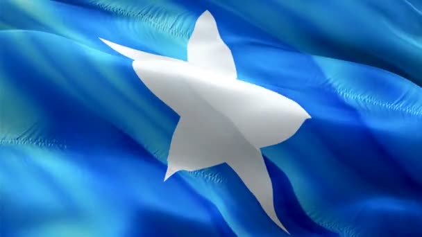 Somalia Flag Motion Loop Video Waving Wind Realistic Somali Flag — стокове відео