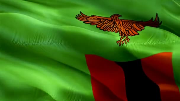 Zambia Flag Motion Loop Video Waving Wind Realistic Zambian Flag — Stockvideo