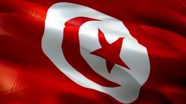 チュニジアの旗Motion Loopビデオが風に揺れる 現実的なチュニジア国旗の背景 チュニジア国旗ループ1080PフルHd 1920X1080ビデオ チュニジアアフリカ国は ニュースのためのビデオをフラグ — ストック動画