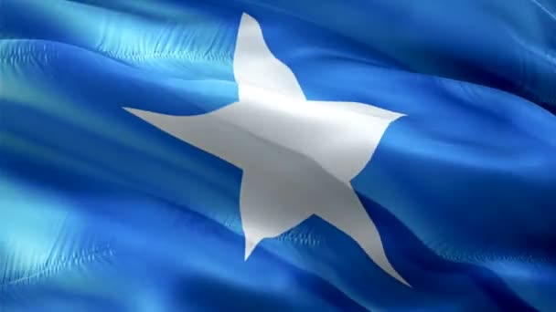 Somalia Waving Flag National Somali Flag Waving Sign Somalia Seamless — стокове відео