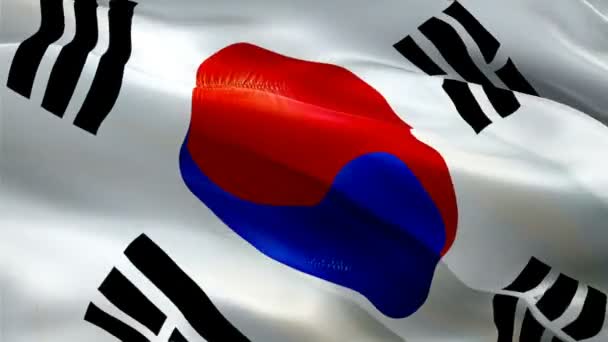Koreai Zászló Closeup 1080P Teljes 1920X1080 Footage Videó Integetett Szél — Stock videók
