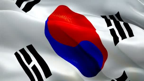 Südkoreanische Flaggen Wehen Wind Realistische Koreanische Flagge Hintergrund Südkorea Flagge — Stockvideo