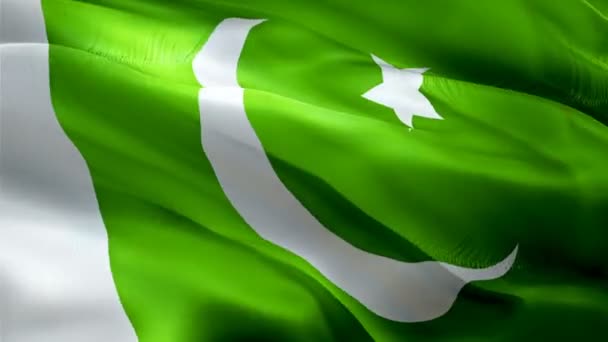 Pakistan Waving Flag National Pakistani Flag Waving Sign Pakistan Seamless — Stockvideo