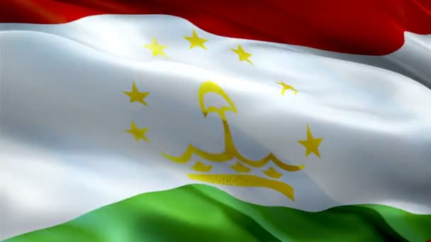 Ουζμπεκιστάν Ανεμίζει Σημαία Εθνική Uzbek Σημαία Κυματίζει Σημάδι Του Ουζμπεκιστάν — Αρχείο Βίντεο