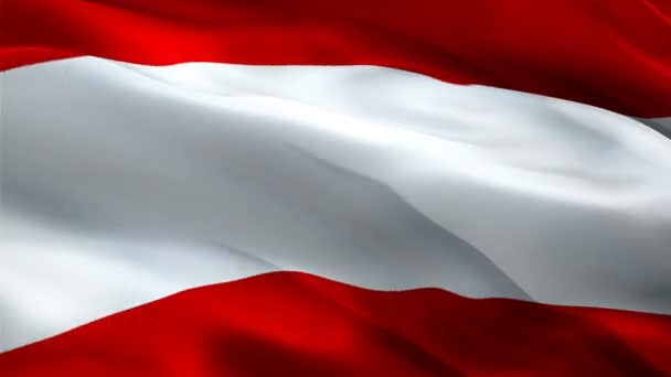 Rakousko Vlající Vlajka Národní Rakouská Vlajka Mávání Znak Rakouska Bezešvé — Stock video