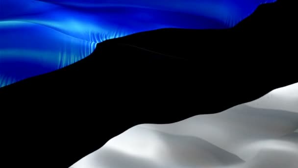 Estonia Flag Video Waving Wind Realistic Estonian Flag Background Estonia — Stockvideo