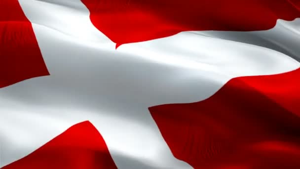 Δανική Σημαία Κουνώντας Βίντεο Του Ανέμου Full Ρεαλιστικό Φόντο Δανικής — Αρχείο Βίντεο