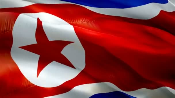 Nordkorea Viftar Med Flaggan Nationell Nordkoreansk Flagga Vinkar Tecken Asiatisk — Stockvideo