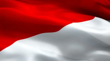 Monako bayrak Motion Loop video rüzgarsal sallayarak. Gerçekçi Monako Bayrağı arka plan. Monaco Flag Looping Closeup 1080p Full Hd 1920x1080 görüntüleri. Monako Avrupa ülkesi film için video bayrakları, haberler