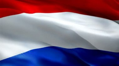 Hollanda bayrağı 1080p Full HD 1920X1080 video kaydı rüzgarda dalgalanıyor. Ulusal Amsterdam 3D Hollanda bayrağı dalgalanıyor. Hollanda 'nın kusursuz döngü animasyonunun işareti. Hollanda bayrağı HD çözünürlüğü Arkaplan 1080p