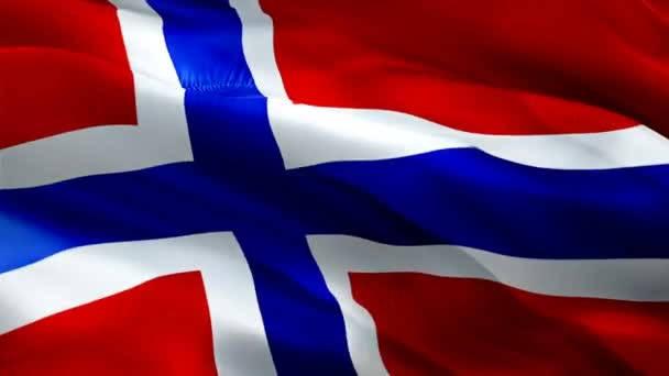 Noruega Bandera Vídeo Ondeando Viento Fondo Realista Bandera Noruega Oslo — Vídeo de stock