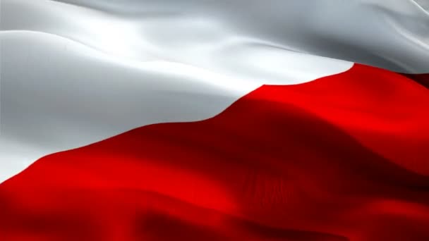Polonya Dalgalanan Bayrak Ulusal Lehçe Bayrak Sallayarak Polonya Sorunsuz Döngü — Stok video