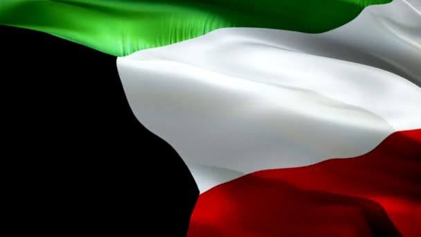 Kuwait Schwenkt Flagge Die Nationalflagge Kuwaits Weht Zeichen Einer Nahtlosen — Stockvideo