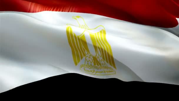 Egypt Flag Motion Loop Video Waving Wind Realistic Egyptian Flag — Vídeo de Stock