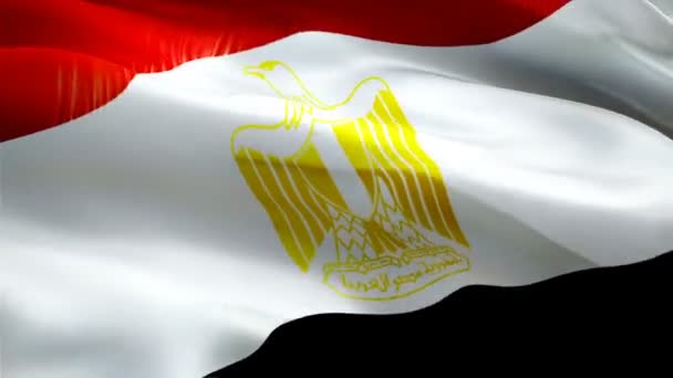 Mesir Mengibarkan Bendera Bendera Nasional Melambai Tanda Mesir Animasi Loop — Stok Video