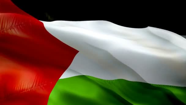 Palestine Flag Motion Loop Video Waving Wind Realistic Palestinian Ramallah — Video Stock