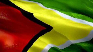 Guyana bayrak sallıyor. Ulusal 3d Guyanese bayrağı dalgalanıyor. Guyana 'nın kusursuz döngü animasyonunun işareti. Guyanese bayrağı yüksek çözünürlüklü arka plan. Sunum için Guyana bayrağı 1080p Tam HD video