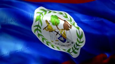 Belize bayrak hareketi vidyoları rüzgarda sallanıyor. Gerçekçi Belizean Bayrağı geçmişi. Belize Bayrak Döngüsü Kapanışı 1080p Tam HD 1920X1080 görüntü. Belize Asya ülke bayrakları film, haber videoları