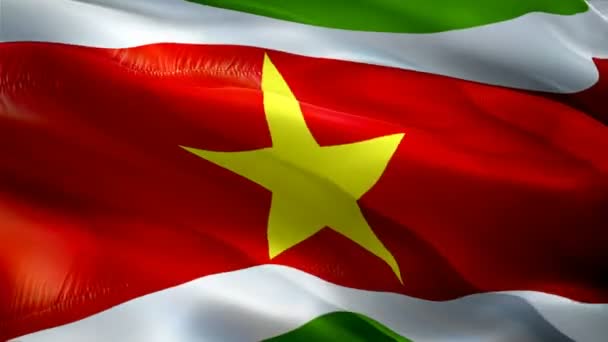 Suriname Waving Flag National Surinam Flag Waving Sign Suriname Seamless — Stockvideo