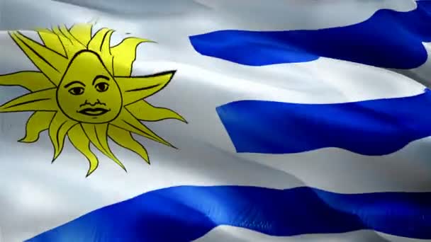 Uruguay Flag Motion Loop Video Waving Wind Realistic Uruguayan Flag — Vídeo de Stock