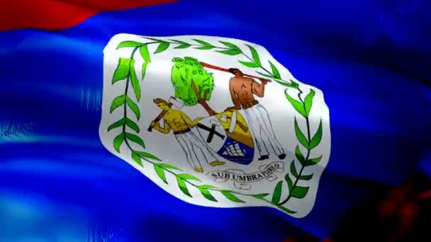 Belize Mengibarkan Bendera Bendera Nasional Belize Melambai Tanda Belize Animasi — Stok Video