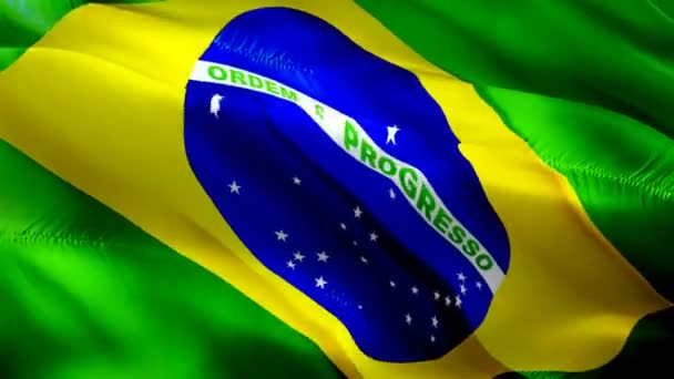 Bandera Brasileña Ondeando Imágenes Vídeo Viento Full Fondo Realista Bandera — Vídeo de stock