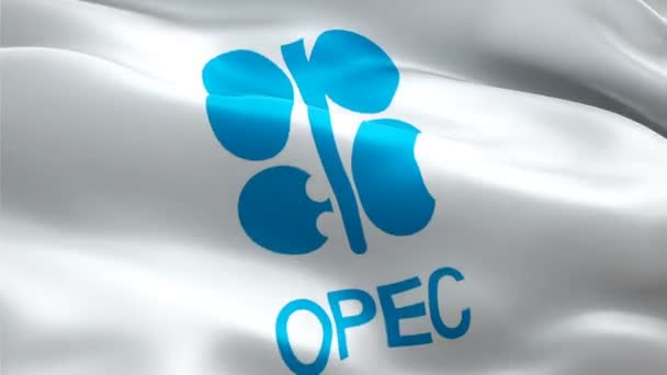 Opec Logo National Organization Petroleum Exporting Countries Logo Waving Sign — Stock Video