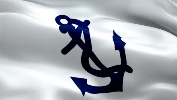 Naval Officer Logo National Fleet Captain Logo Waving Sign Naval — Stock Video