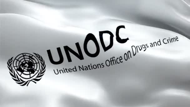 Unodc National United Nations Office Drugs Crime 로고흔들기 Unodc 솔기없는 — 비디오