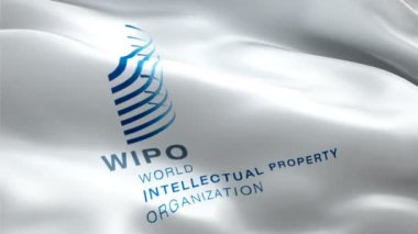 Dünya Fikri Mülkiyet Örgütü logosu. Ulusal 3d WIPO logosu sallanıyor. Dünya Fikri Mülkiyet Örgütü 'nün kusursuz animasyonunun işareti. WIPO bayrağı HD Arkaplan - New York, 4 Temmuz 2021