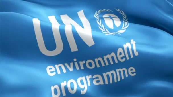 Environment Programme Logo National United Nations Ecology Logo Waving Sign — Stock Video