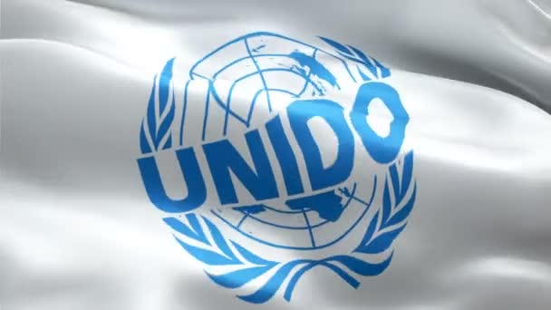 Logo Unido Lambang National United Nations Industrial Development Organization Melambaikan — Stok Video