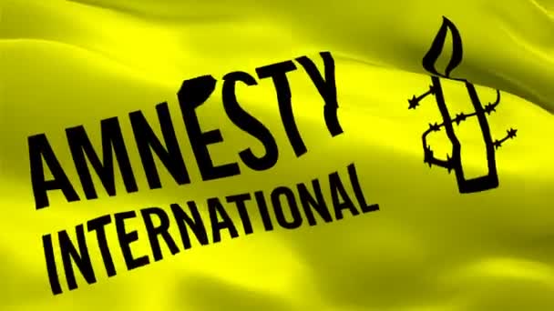 Logo Amnesty Logo Nazionale Amnesty International Che Sventola Segno Amnesty — Video Stock
