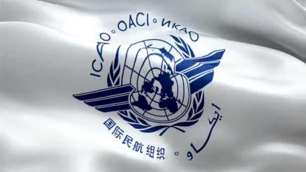 Logotipo Icao Logotipo Nacional Organização Aviação Civil Internacional Acenando Sinal — Vídeo de Stock