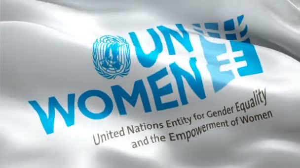 United Nations Entity Gender Equality Empowerment Women Logo National Women — Stock Video