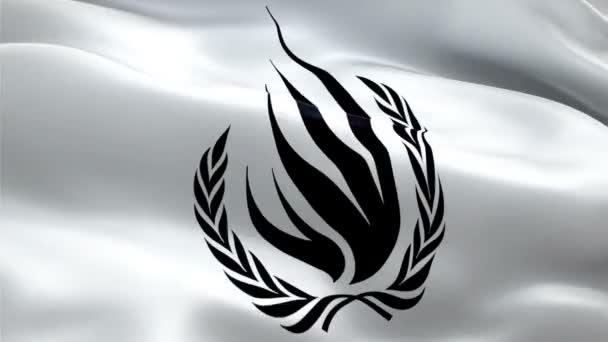 Bendera Dewan Hak Asasi Manusia Lambang Nasional Ohchr Melambai Tanda — Stok Video