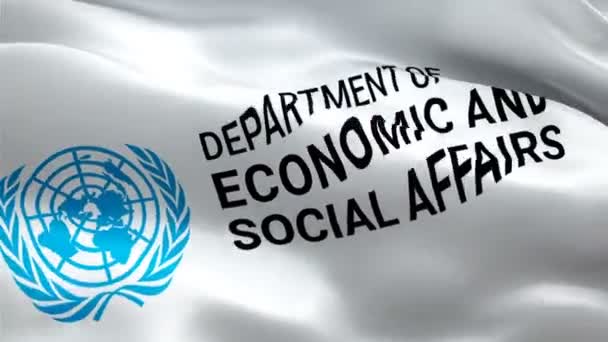 United Nations Department Economic Social Affairs Logo National Desa Logo — Stock Video