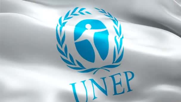 Logotipo Das Nações Unidas Logotipo Programa Nacional Onu Ambiente Acenando — Vídeo de Stock