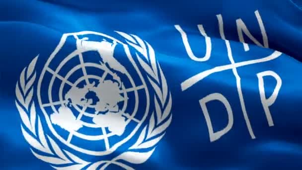 Undp Logo National United Nations Development Programme Logo Waving Sign — Stock Video