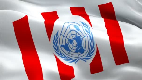 Logo Des Nations Unies Pour Les Quatre Libertés National United — Video