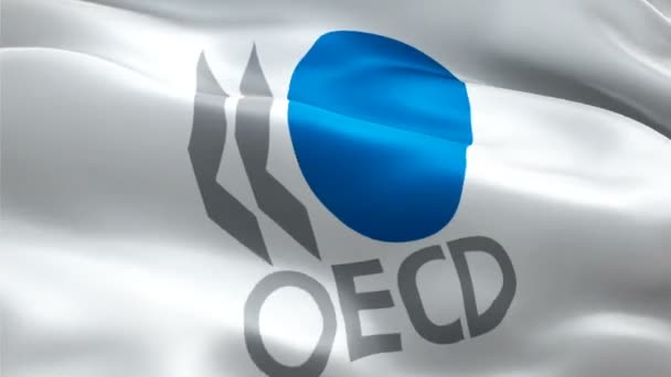 Oecd Logosu Ulusal Ekonomik Şbirliği Kalkınma Teşkilatı Logosu Sallıyor Oecd — Stok video